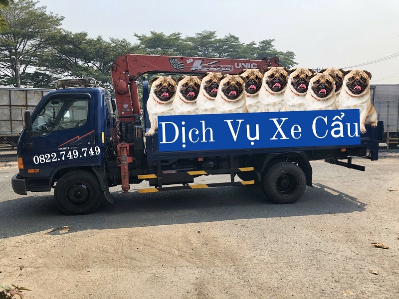 Xe cẩu - Công Ty TNHH TM DV Vận Tải Lâm Sang